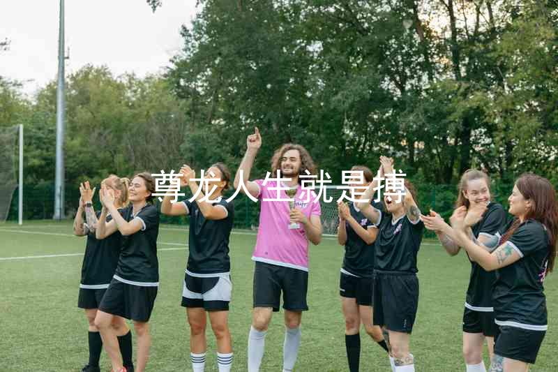 尊龙人生就是搏