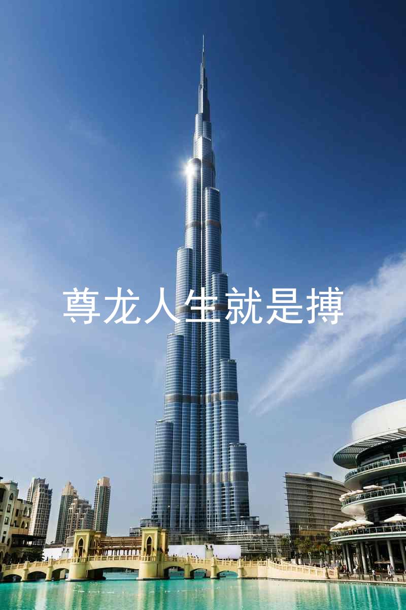 尊龙人生就是搏