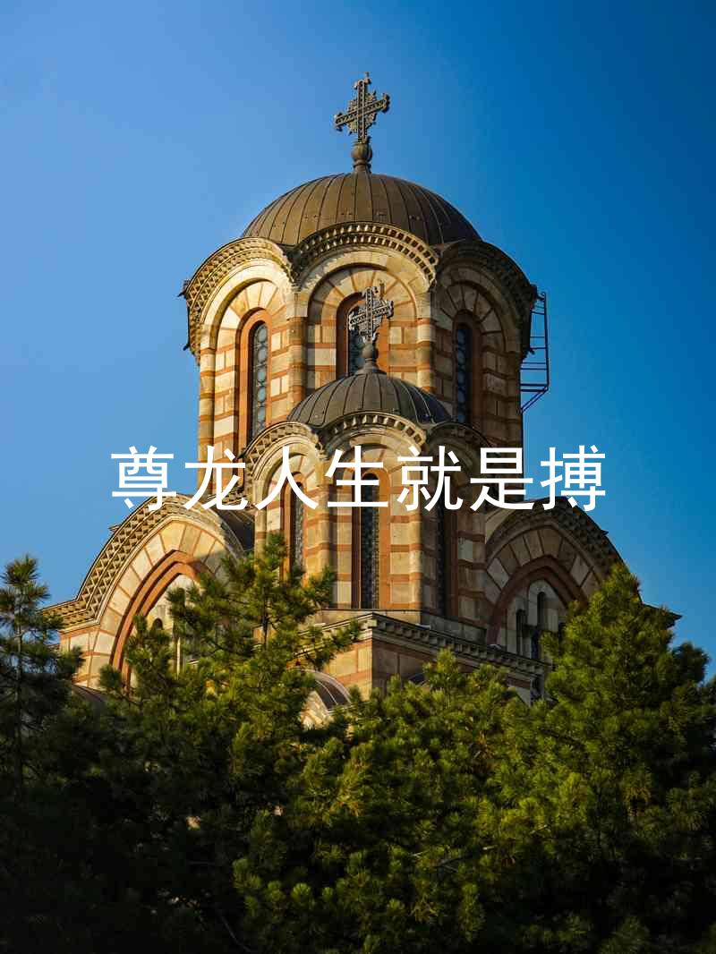 尊龙人生就是搏