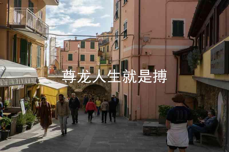 尊龙人生就是搏