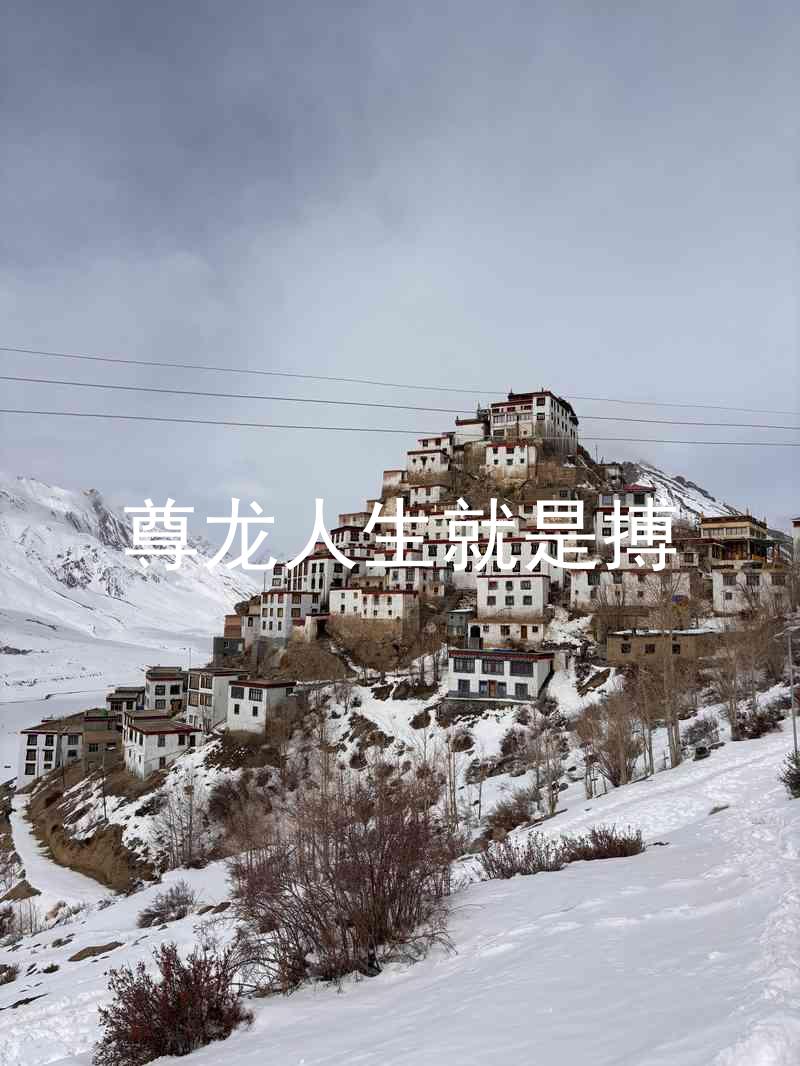尊龙人生就是搏