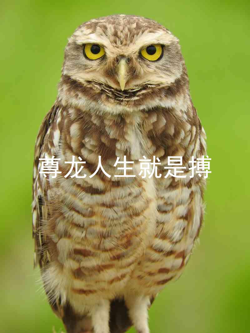 尊龙人生就是搏